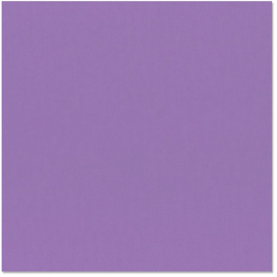 Bazzill purple pizzazz - violet glamous 12x12